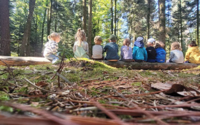 Waldkind und Wurzelzeit – Warum Spielgruppen kleine Menschen stark machen